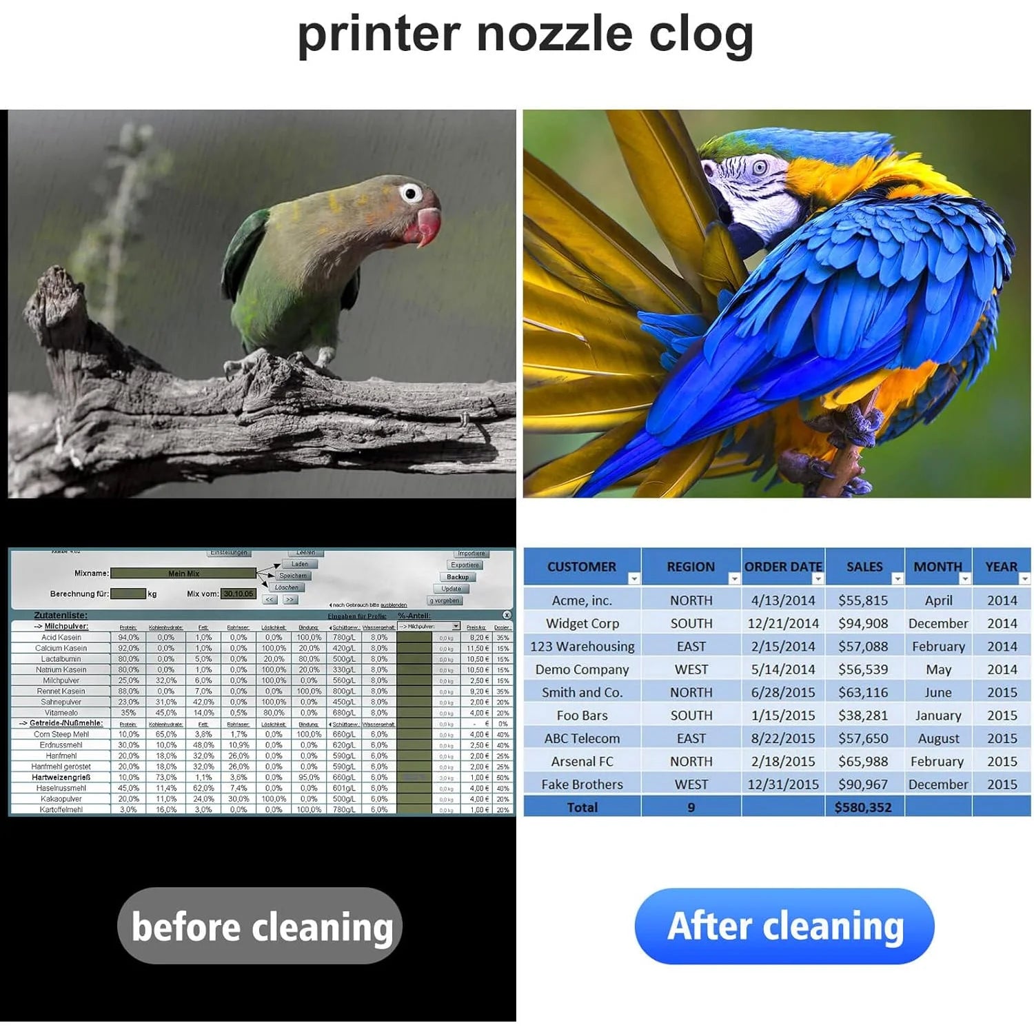 Printer Cleaning & Maintenance Kit